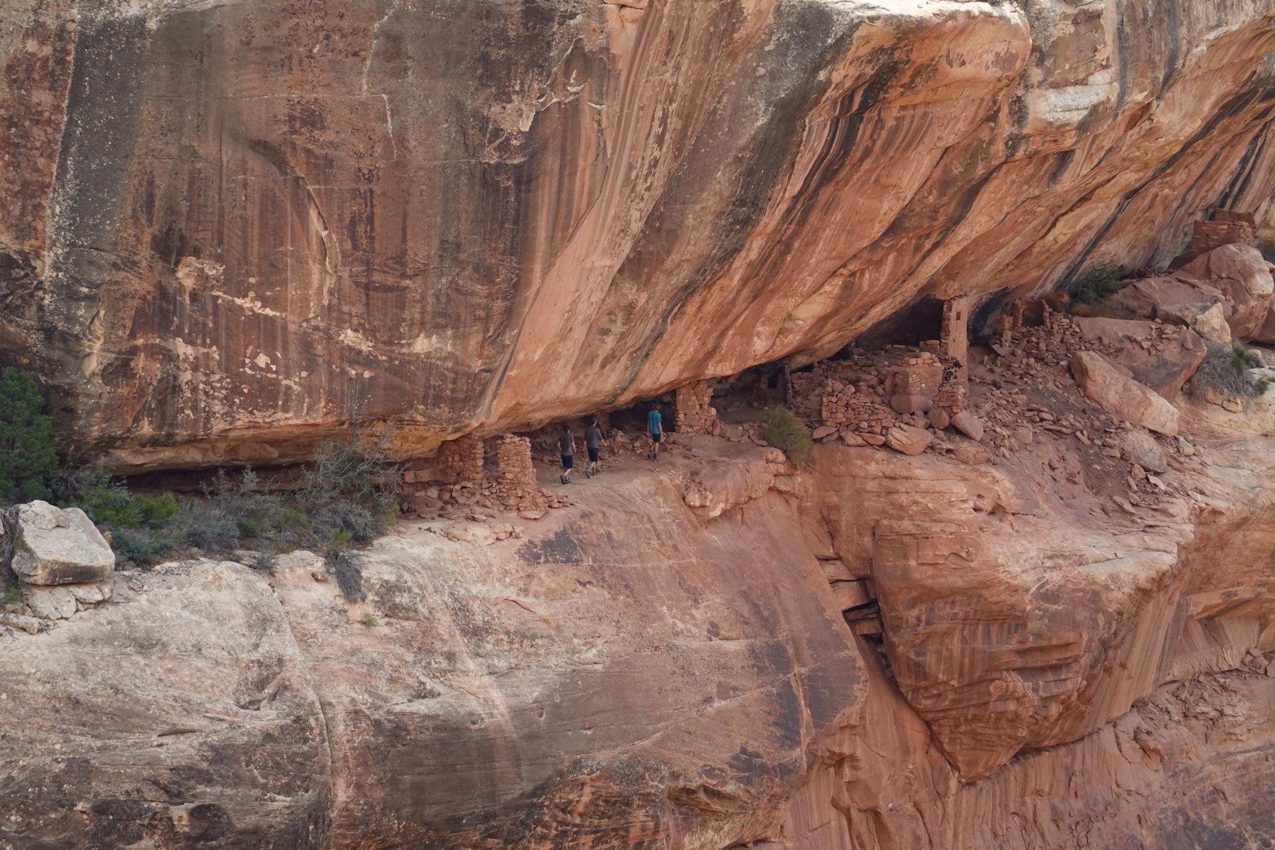 Have you been to Bears Ears? We think you should see it on a mountain bike tour!