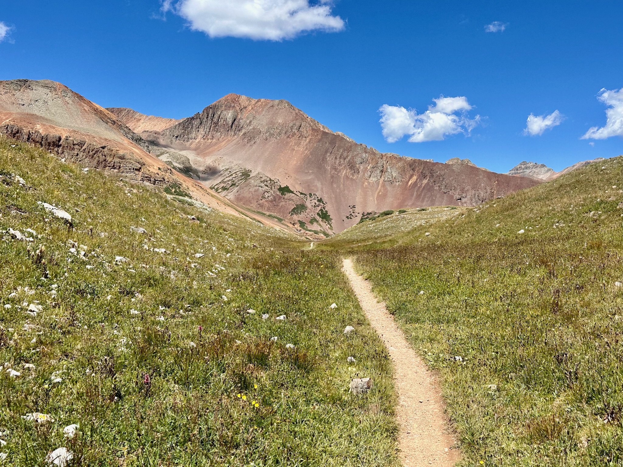 The PERFECT Summer Adventure: CO Trail Singletrack