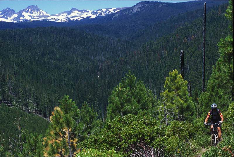 Oregon Timber Trail: cross entire state 55% singletrack!