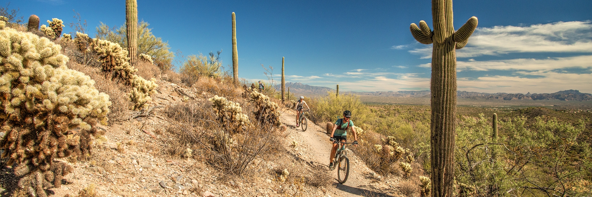 Sonoran Desert- The PERFECT Winter Mountain Bike Getaway