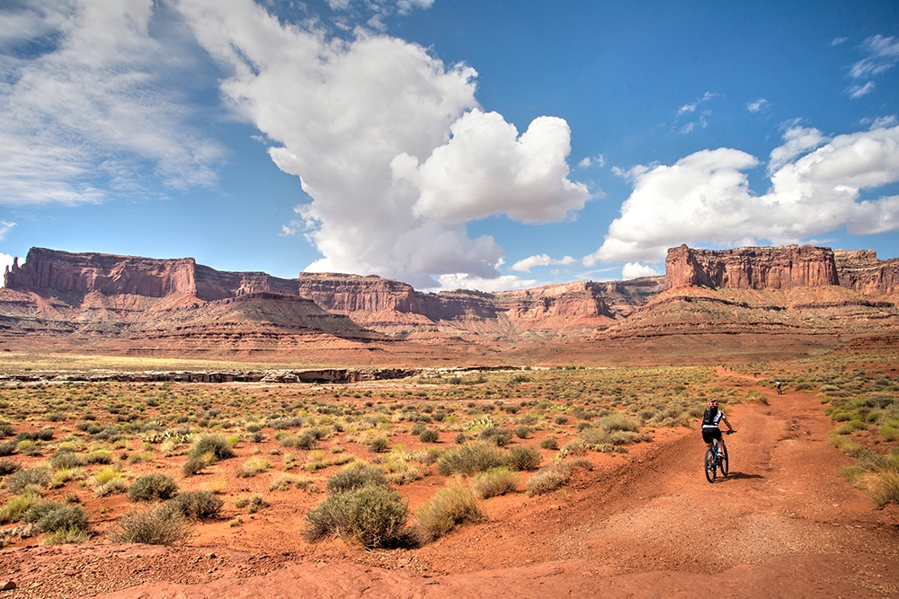 Wingate Cliffs above the Whire Rim Trail