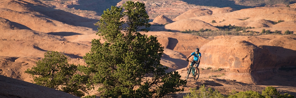 mountain biking skills and tips