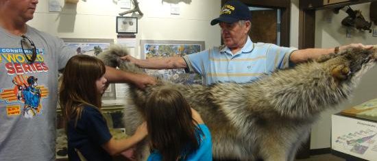 for a vacation less ordinary, visit the Durango fish hatchery