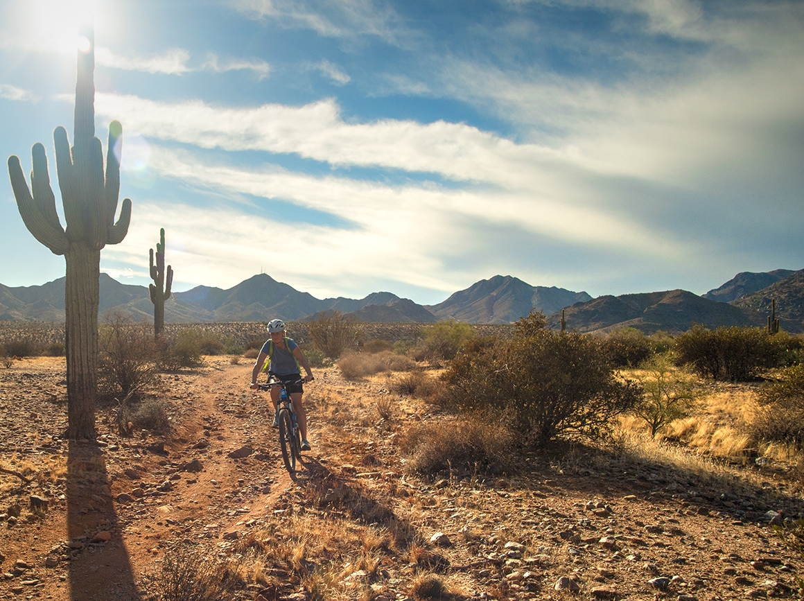 Arizona’s Sonoran Desert