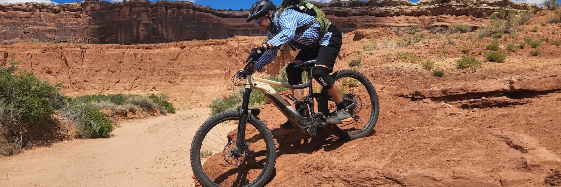 Blue Buffalo Ebike Half Day - Photo 2