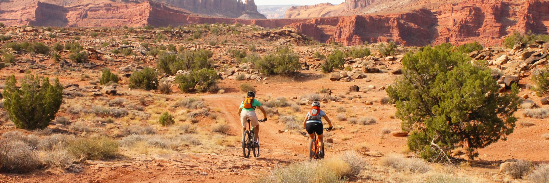 Courthouse Loop Half Day - Photo 1
