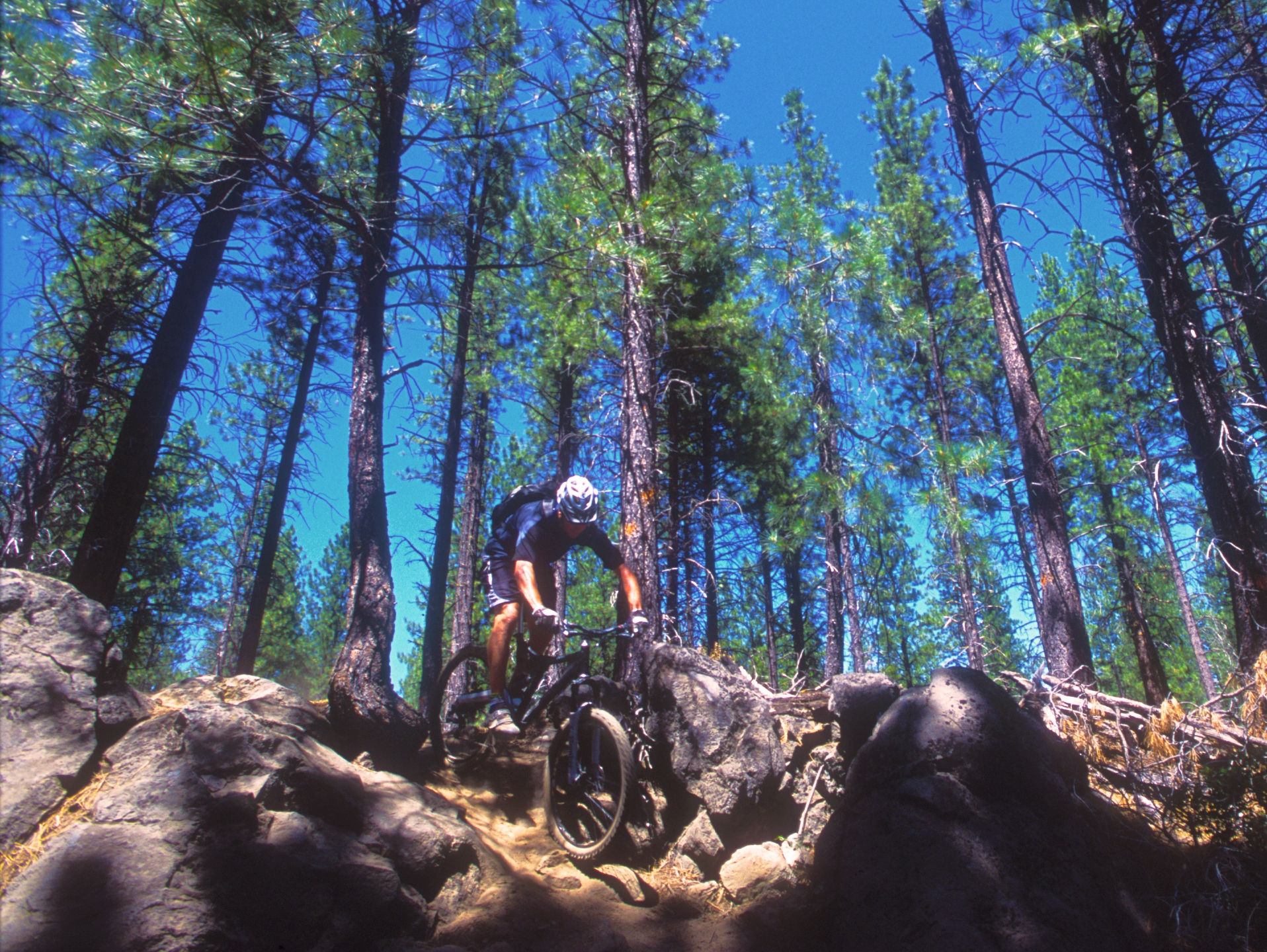 Oregon Cascade Mountain Singletrack