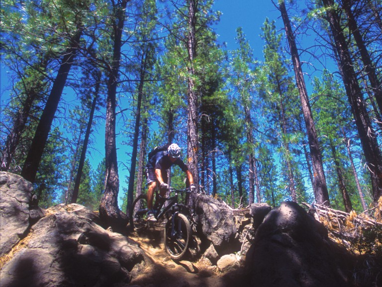 Oregon Cascade Mountain Singletrack