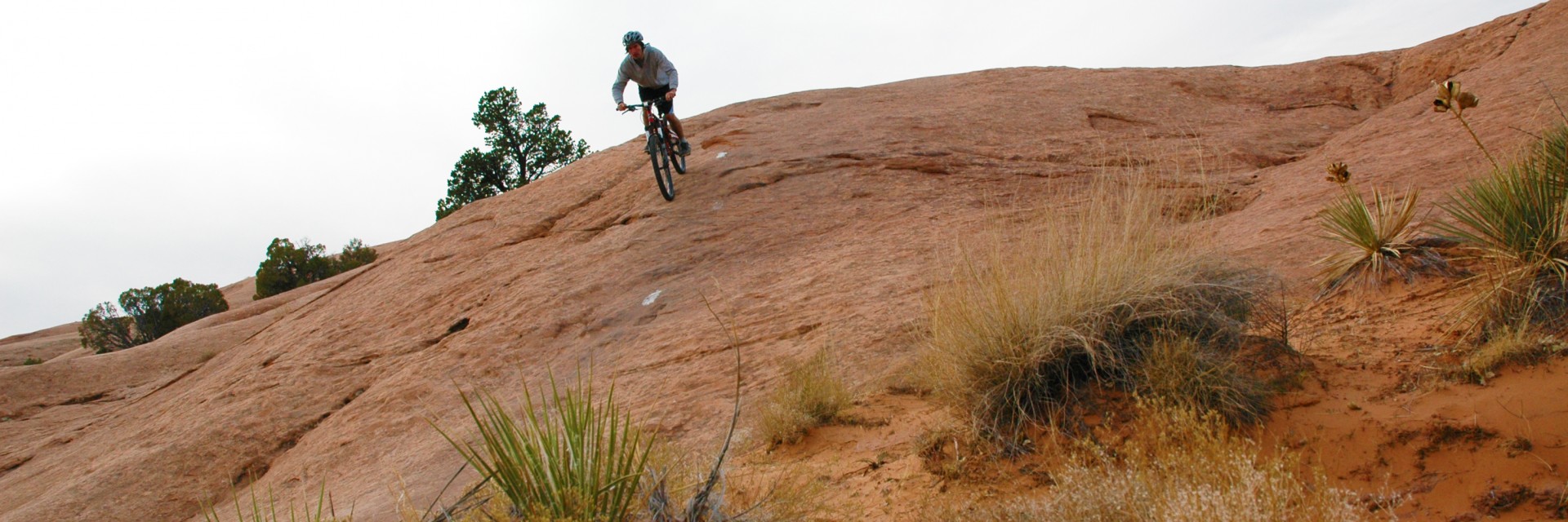 Slickrock Trail Half Day - Photo 16