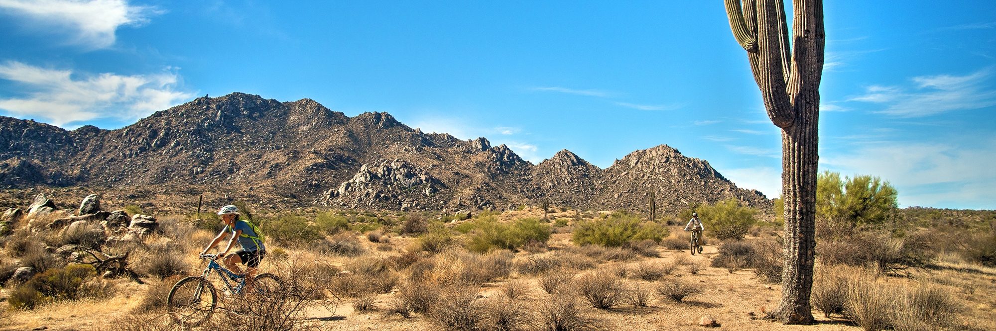 Arizona’s Sonoran Desert — photo 2