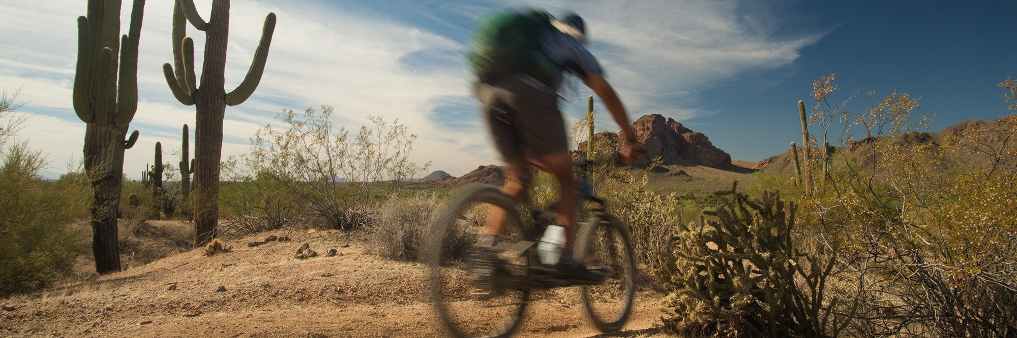 Arizona’s Sonoran Desert — photo 4