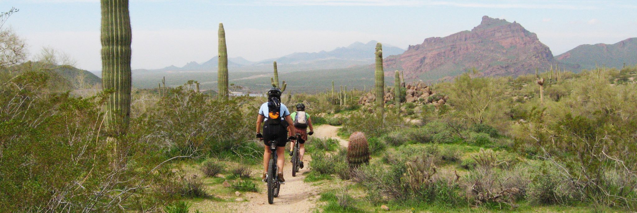 Arizona’s Sonoran Desert — photo 5