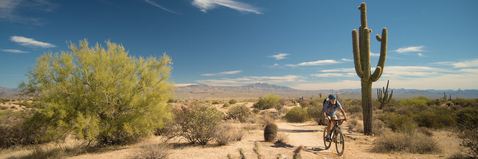 Arizona’s Sonoran Desert — photo 1