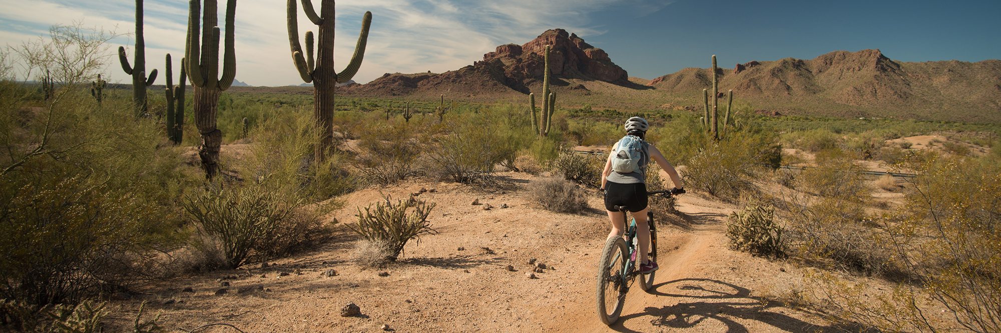 Arizona’s Sonoran Desert — photo 2