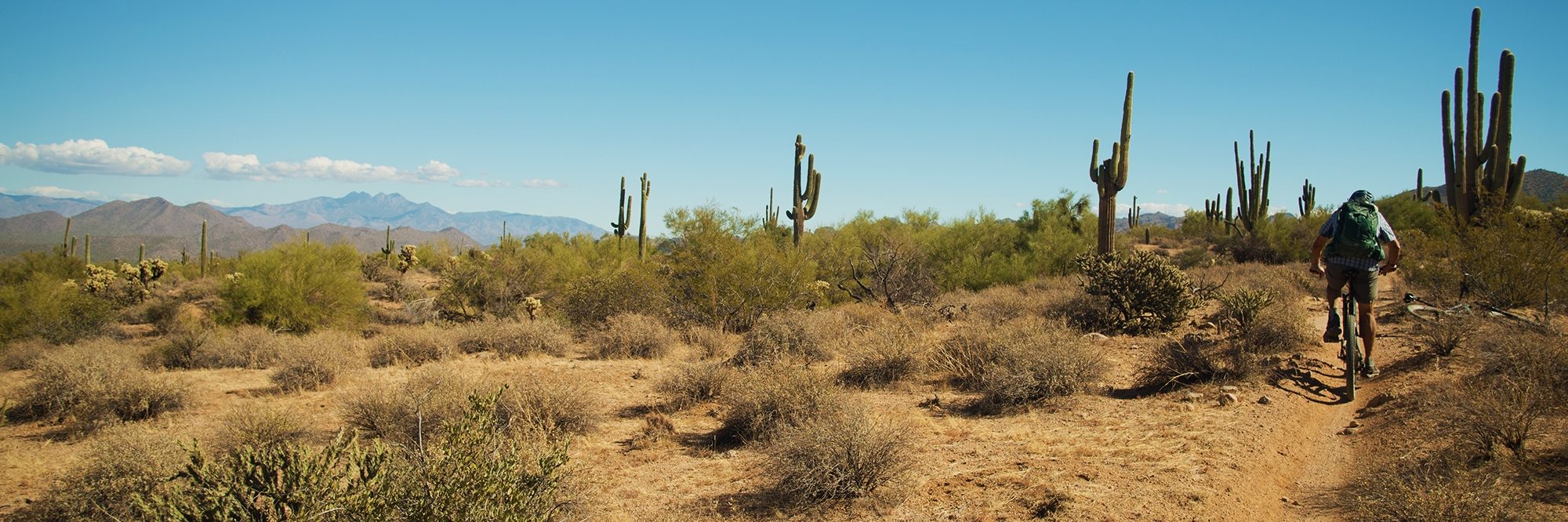 Arizona’s Sonoran Desert — photo 4