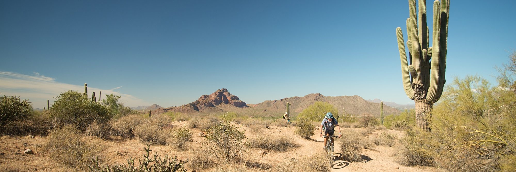 Arizona’s Sonoran Desert — photo 5