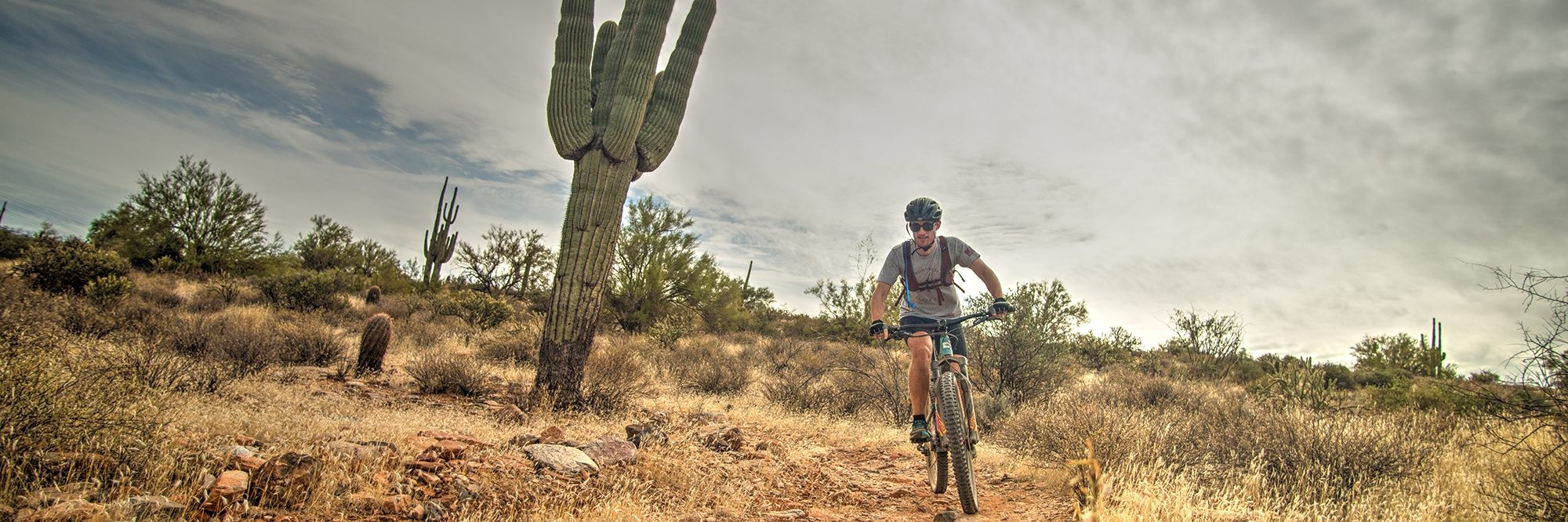 Arizona’s Sonoran Desert — photo 6