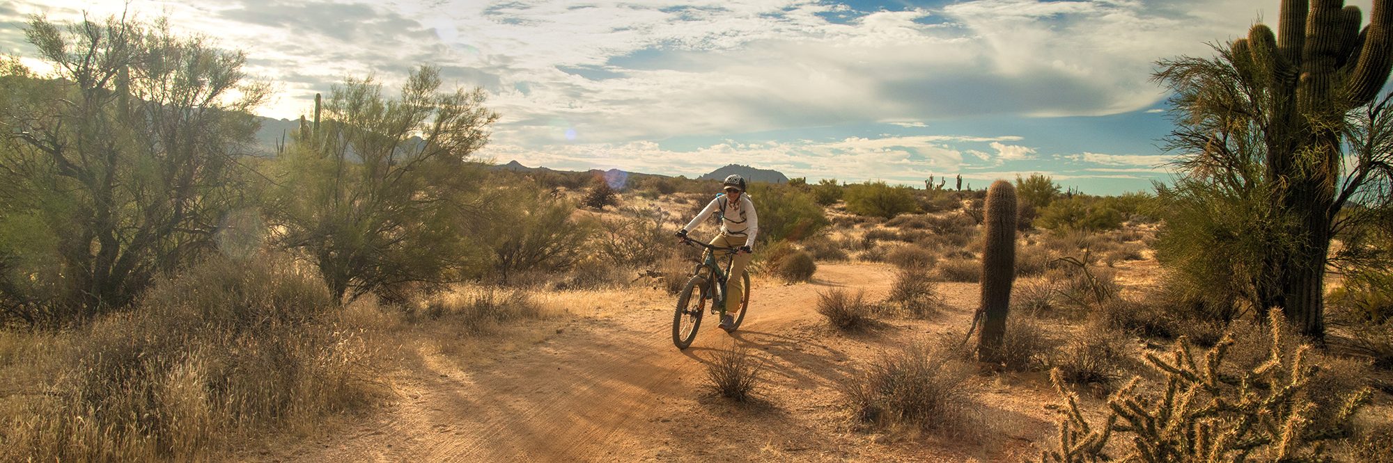Arizona’s Sonoran Desert — photo 9