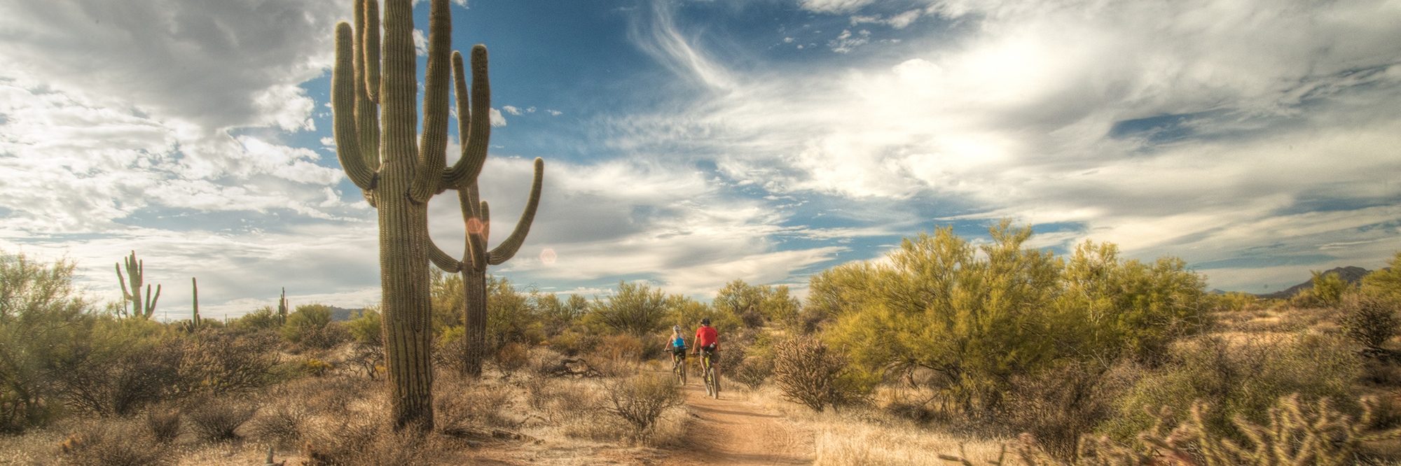 Arizona’s Sonoran Desert — photo 10