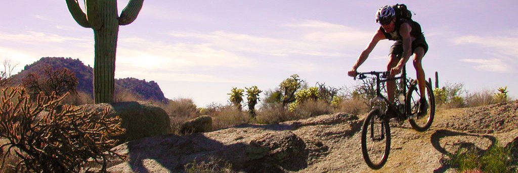 Arizona’s Sonoran Desert — photo 14
