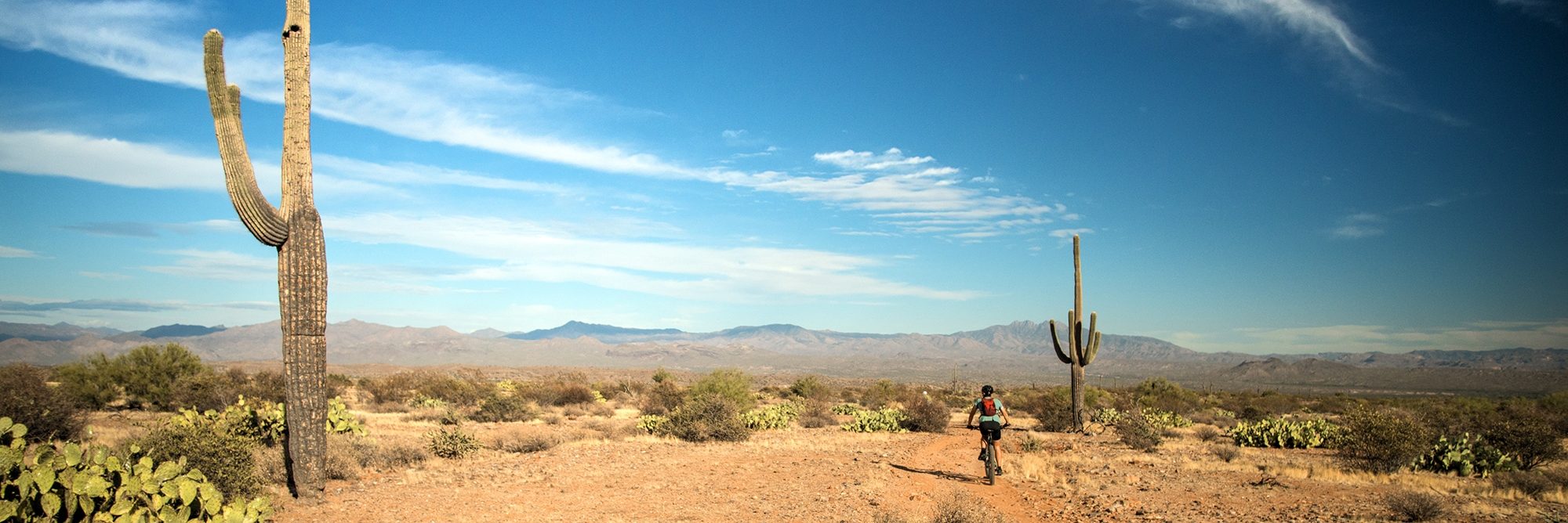 Arizona’s Sonoran Desert — photo 16