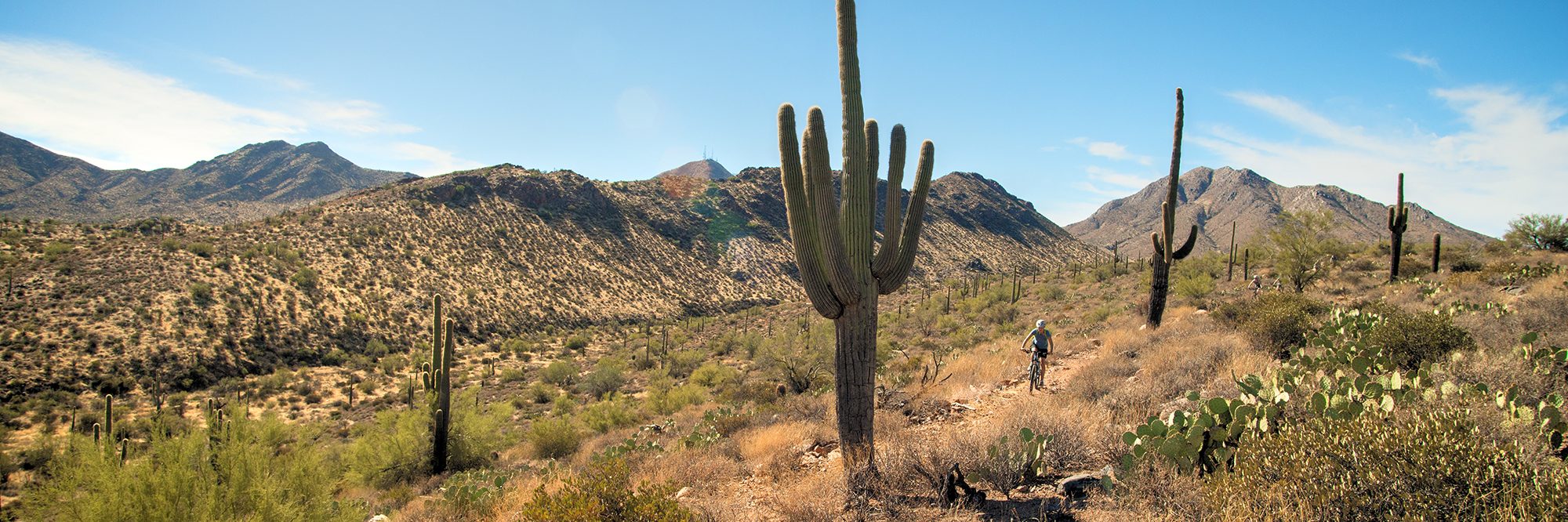 Arizona’s Sonoran Desert — photo 17
