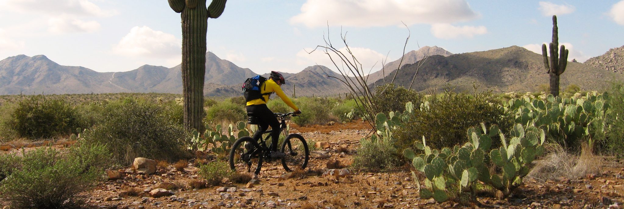 Arizona’s Sonoran Desert — photo 19
