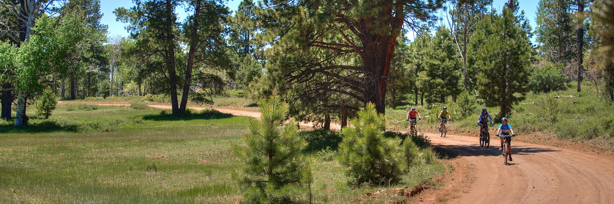 Bears Ears Backcountry Tour 4-Day — photo 8