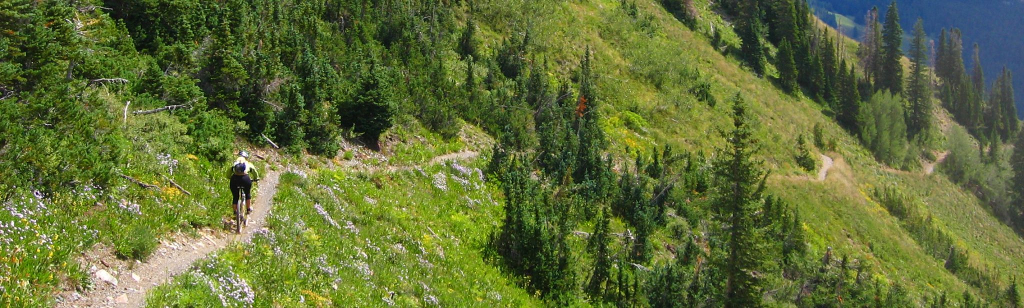 Best of Crested Butte EBike Tour — photo 2