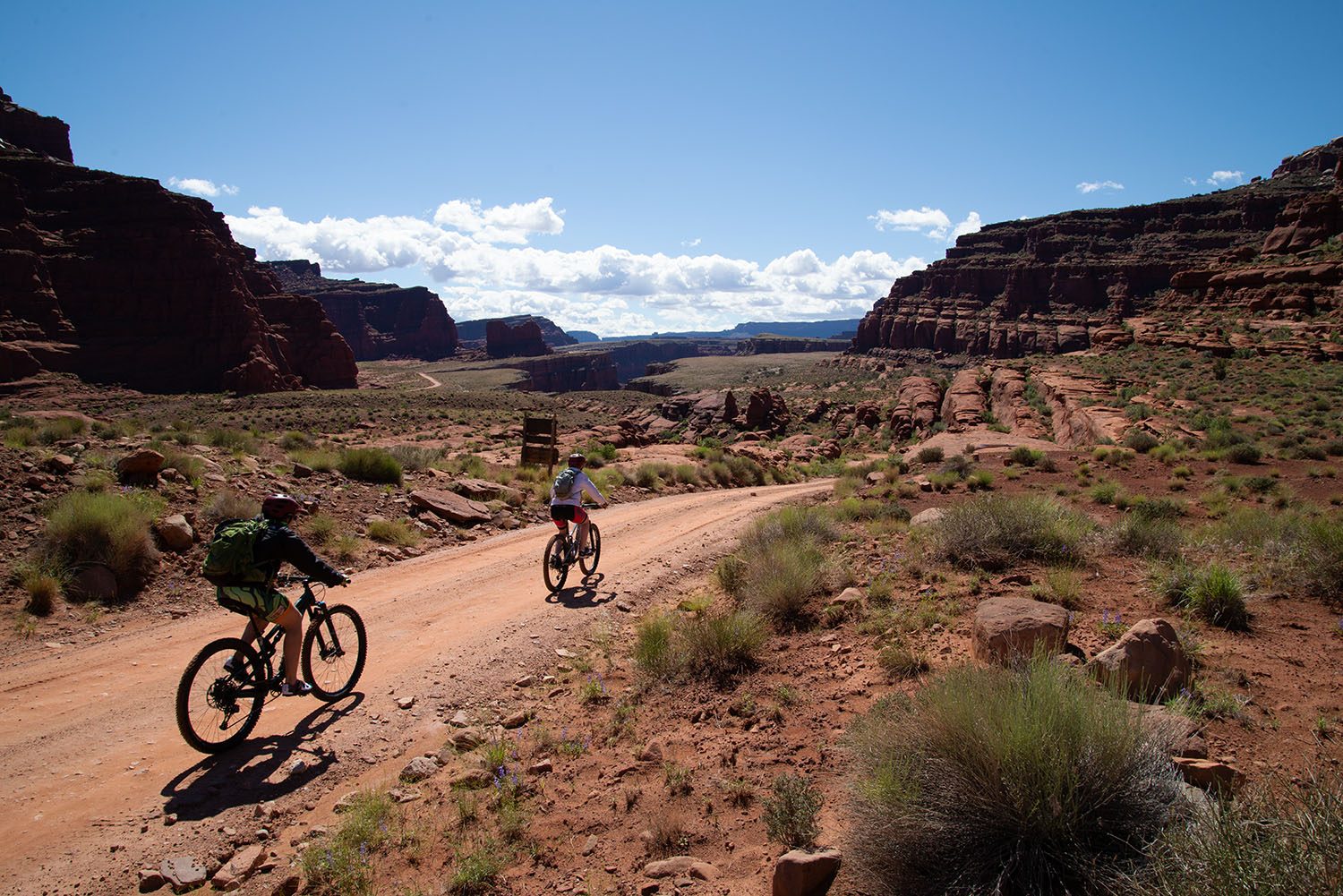 Canyonlands National Park — photo 16