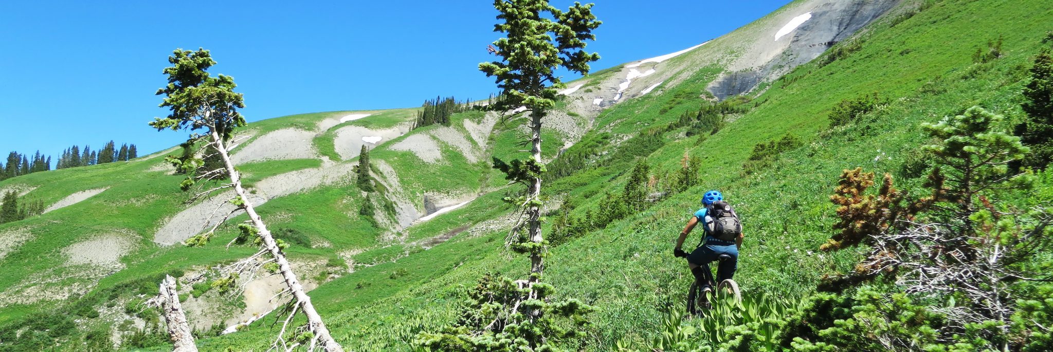 Crested Butte Singletrack — photo 2
