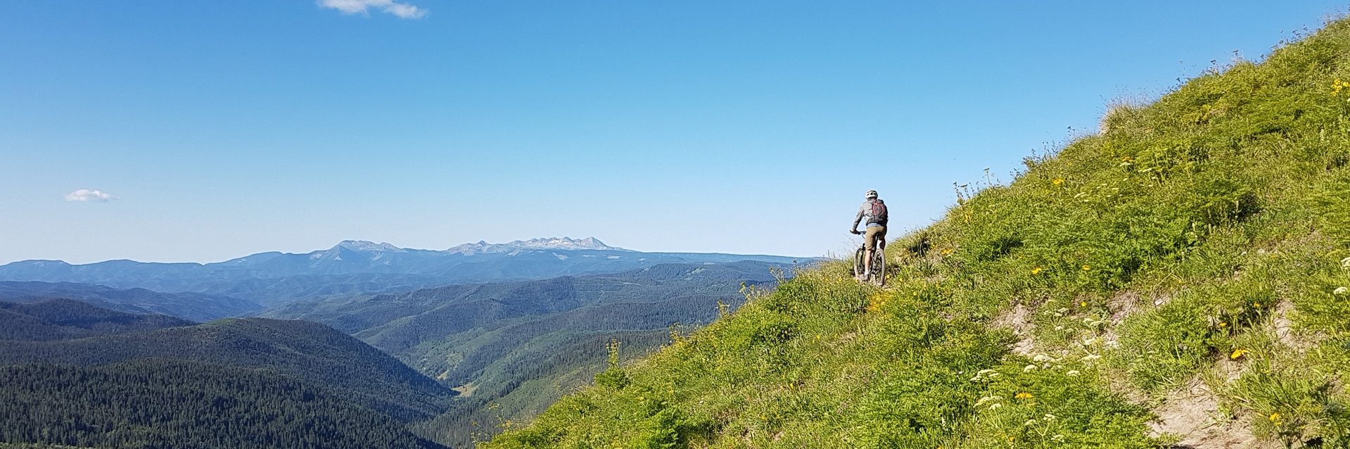 Durango – Colorado Trail Singletrack — photo 2