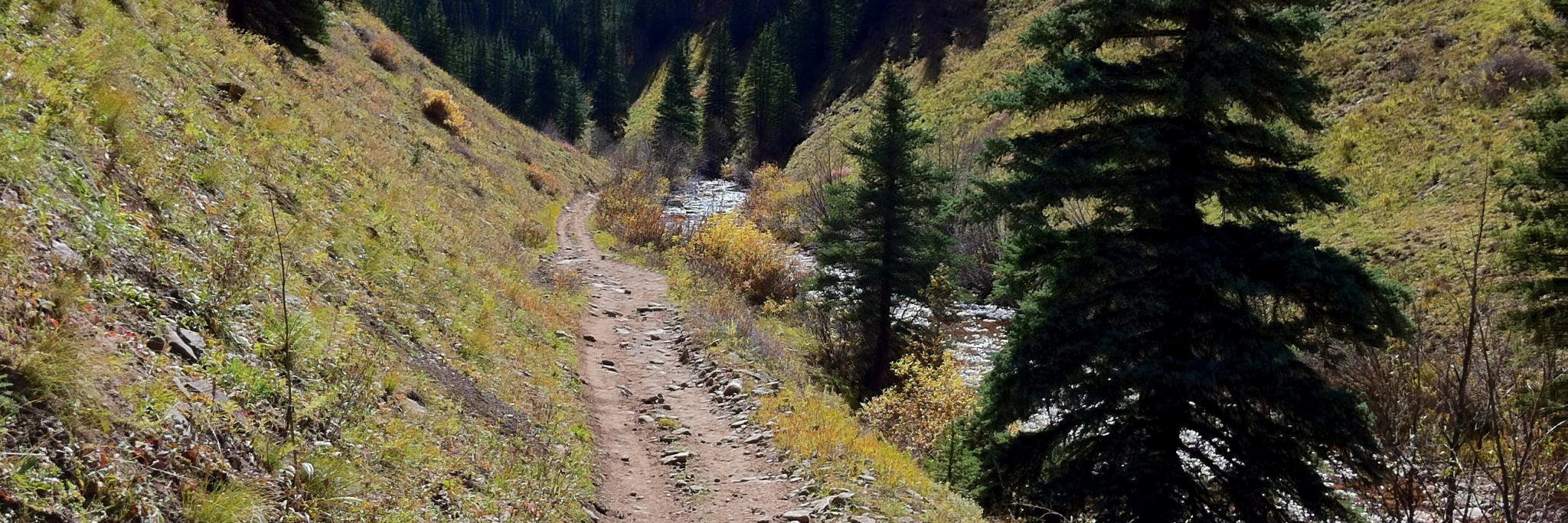 Durango Intermediate Singletrack — photo 6