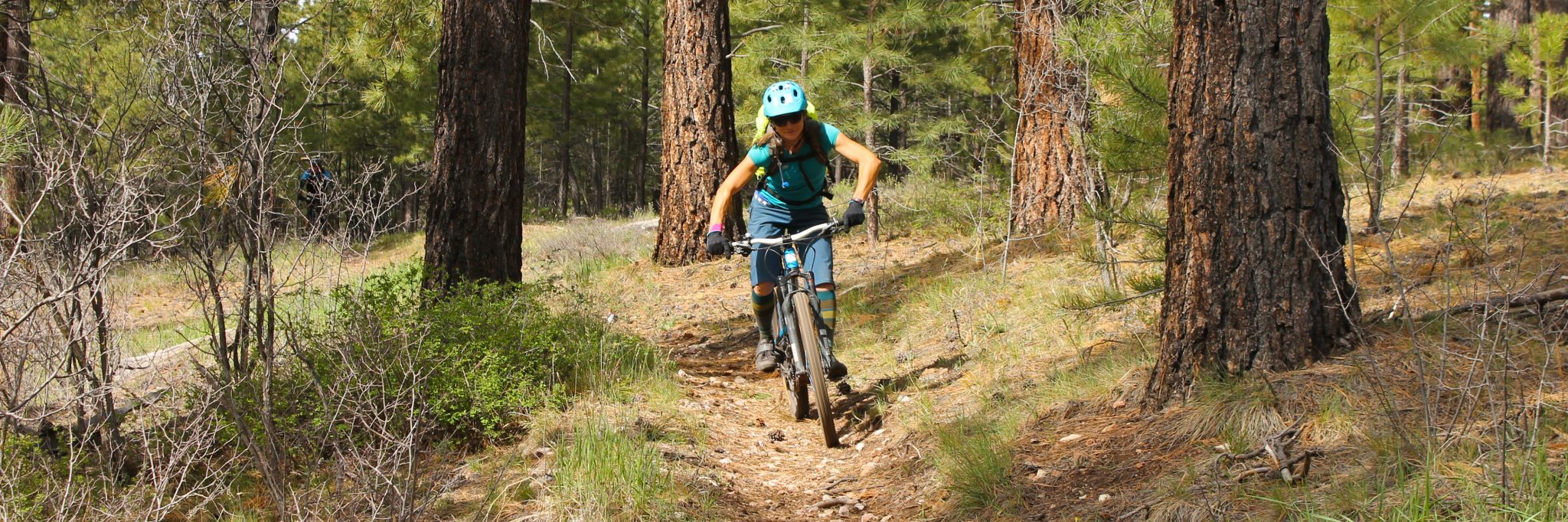 Grand Canyon North Rim 4-Day — photo 6