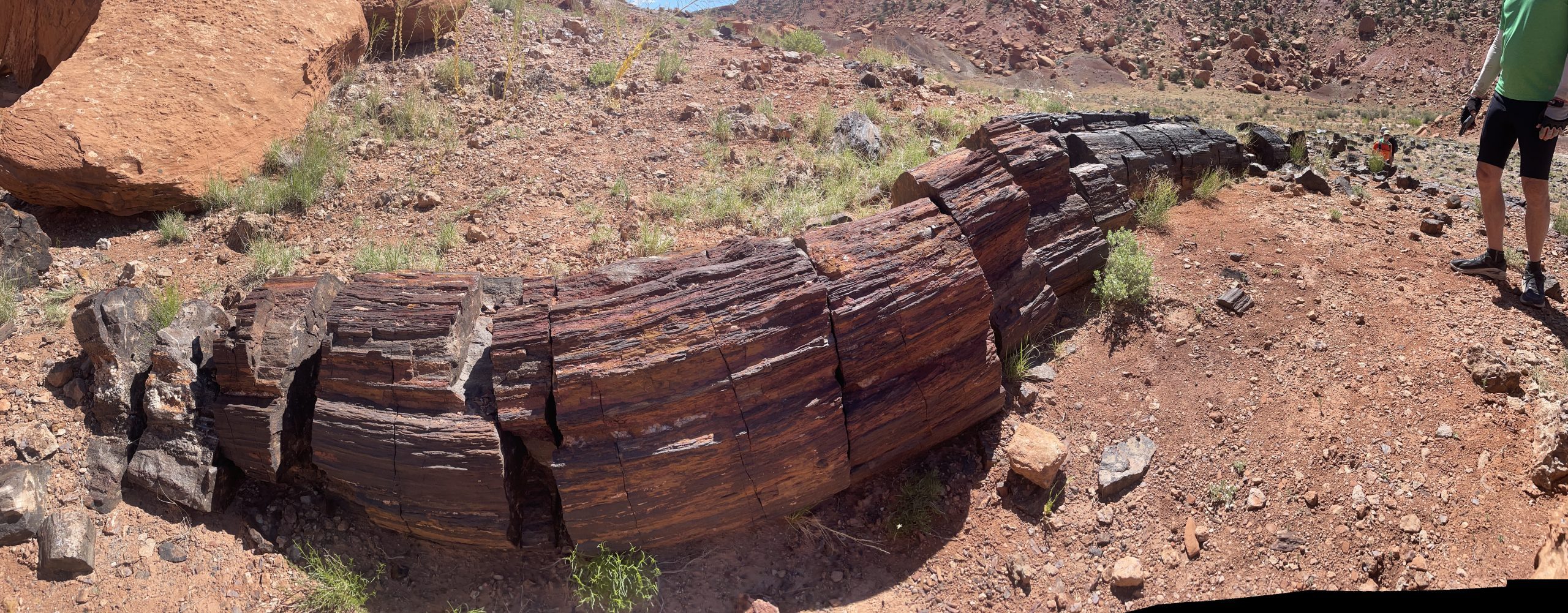 Grand Staircase-Escalante 4-Day — photo 1