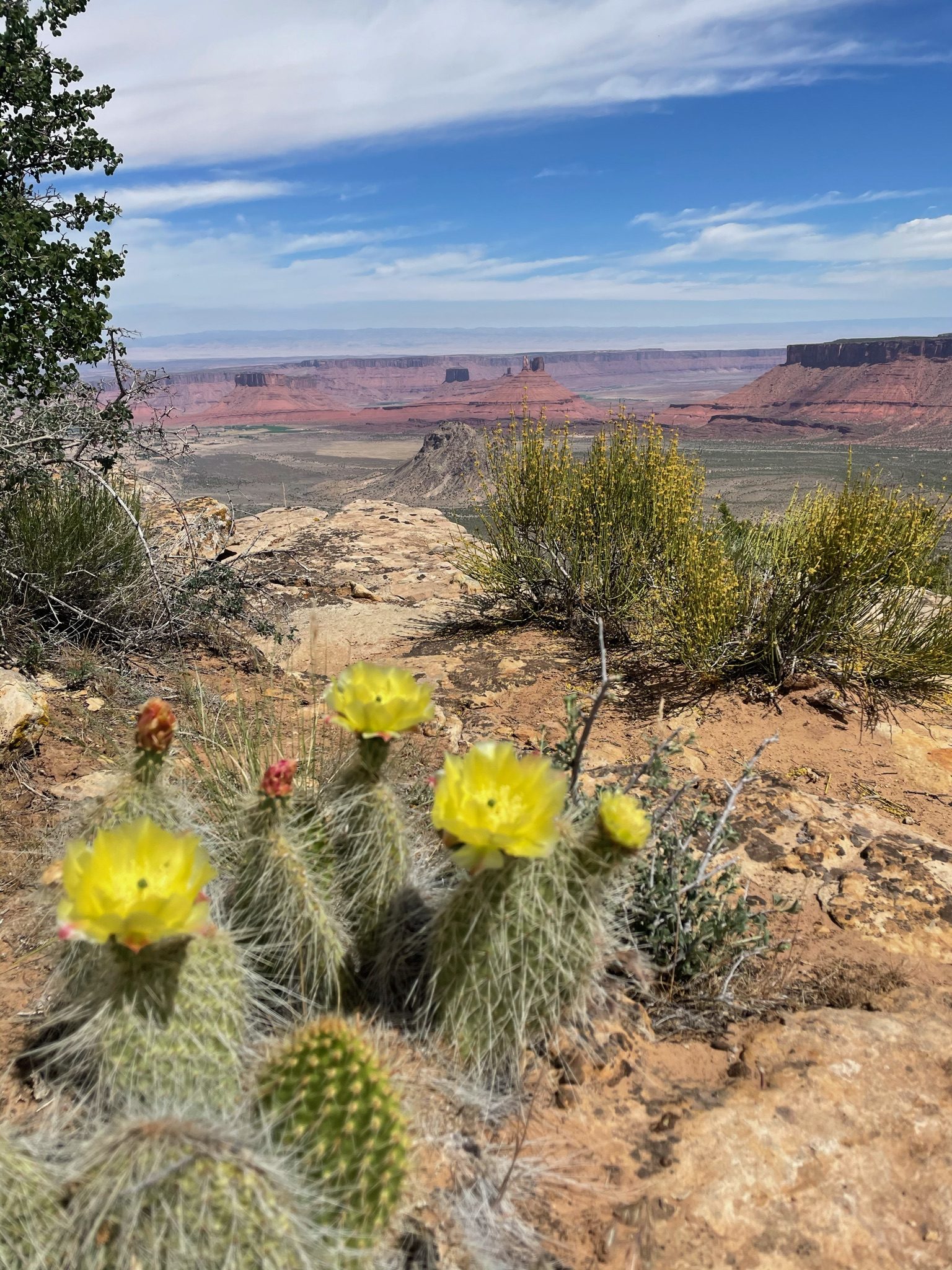Kokopelli Trail 5-Day — photo 5