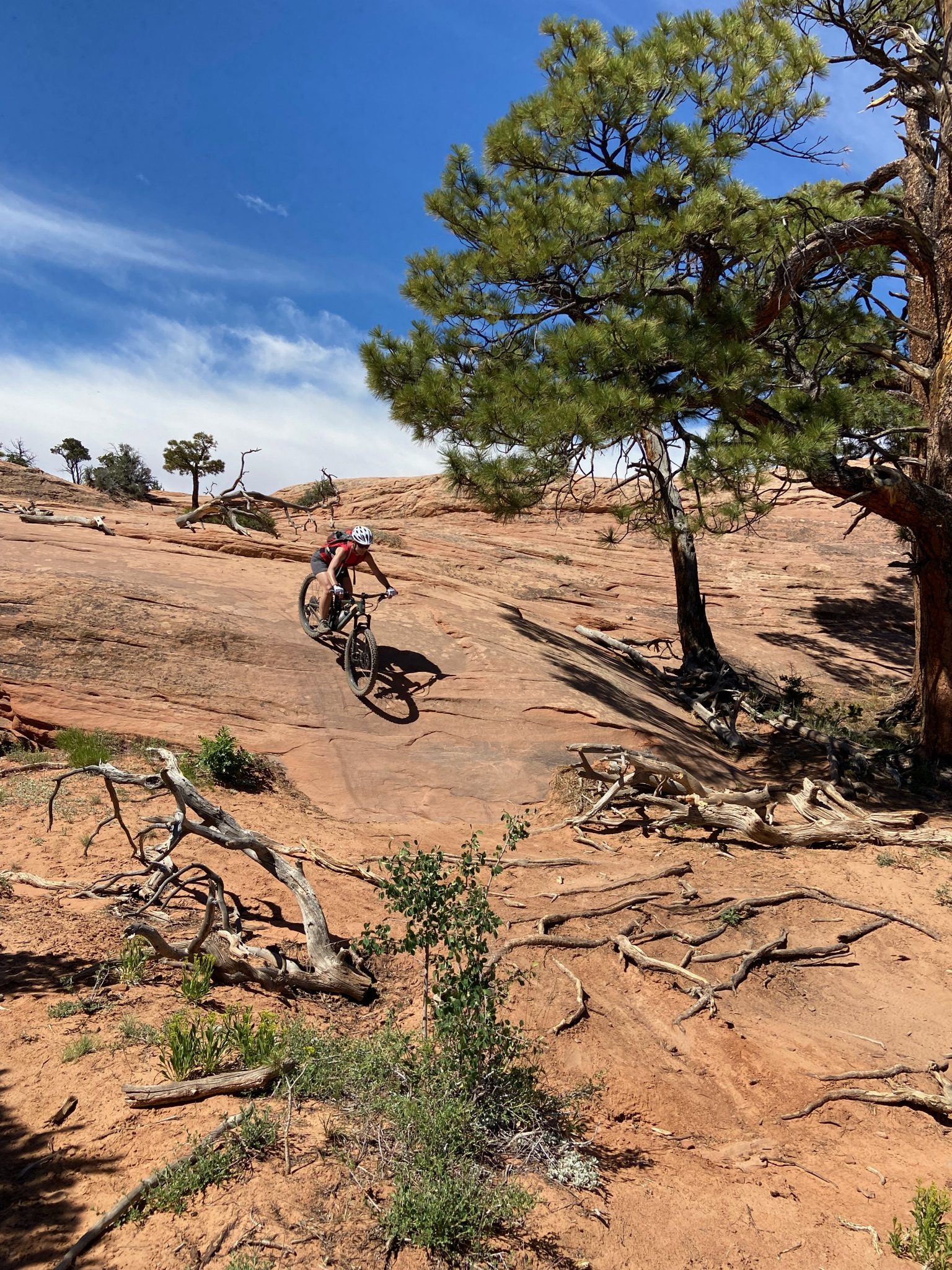 Kokopelli Trail 5-Day — photo 1