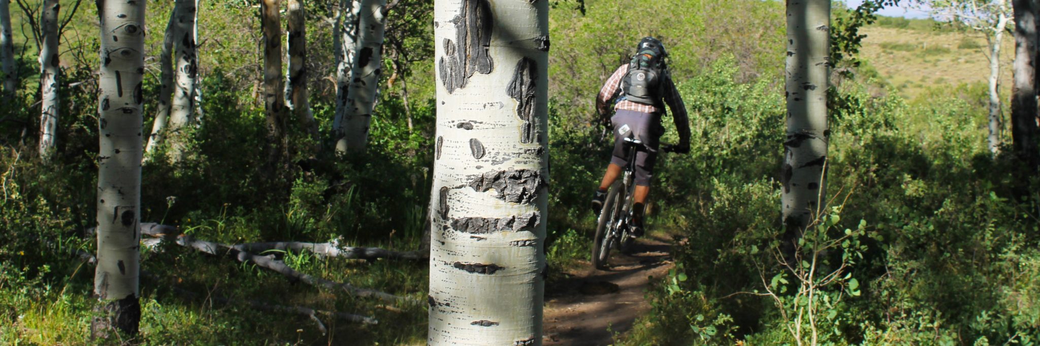 Whole Enchilada/Porcupine Rim — photo 2
