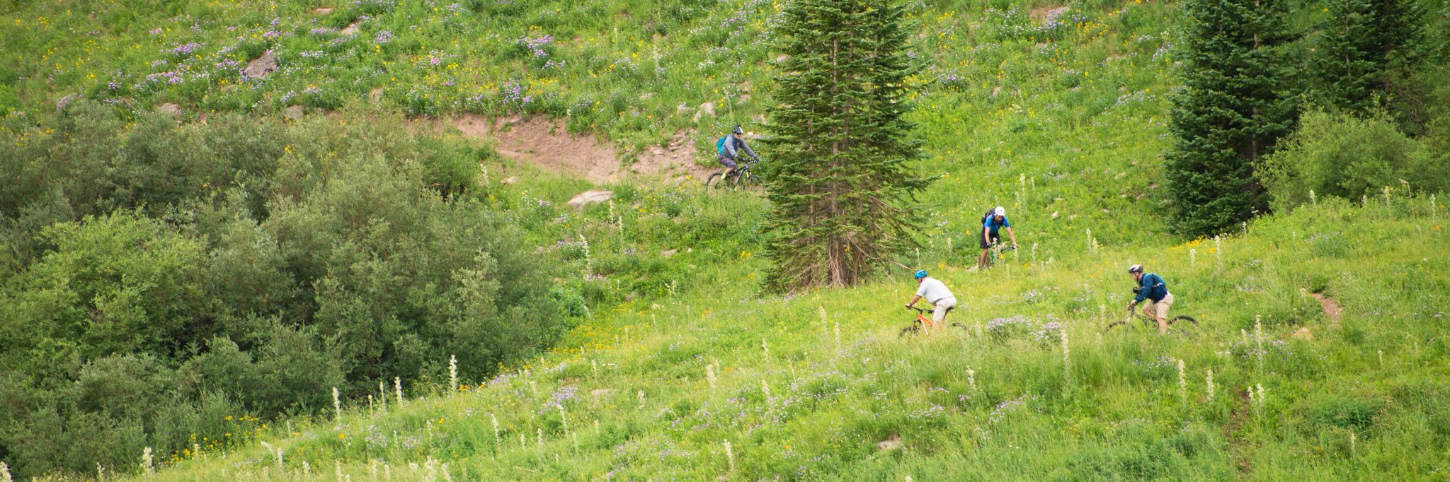 Whole Enchilada/Porcupine Rim — photo 14